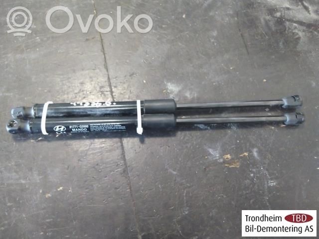 Hyundai Ioniq Ammortizzatore portellone posteriore/bagagliaio