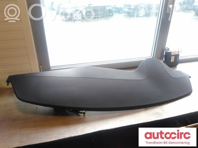 Tesla Model X Panelė 