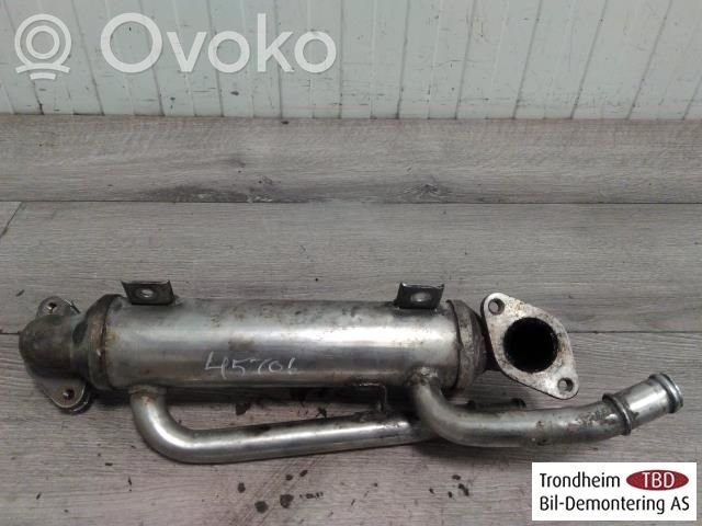 Volkswagen PASSAT B5.5 Chłodnica spalin EGR 