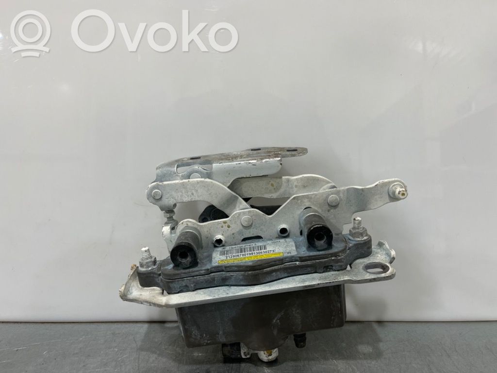Mercedes-Benz E W212 Cerniere del vano motore/cofano 