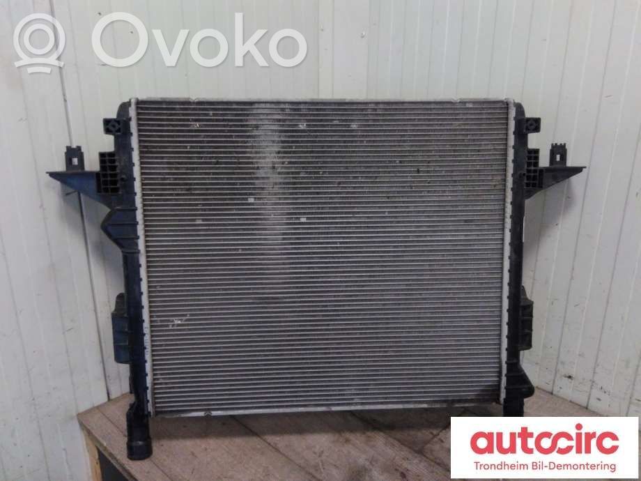 Skoda Enyaq iV Aušinimo skysčio radiatorius 