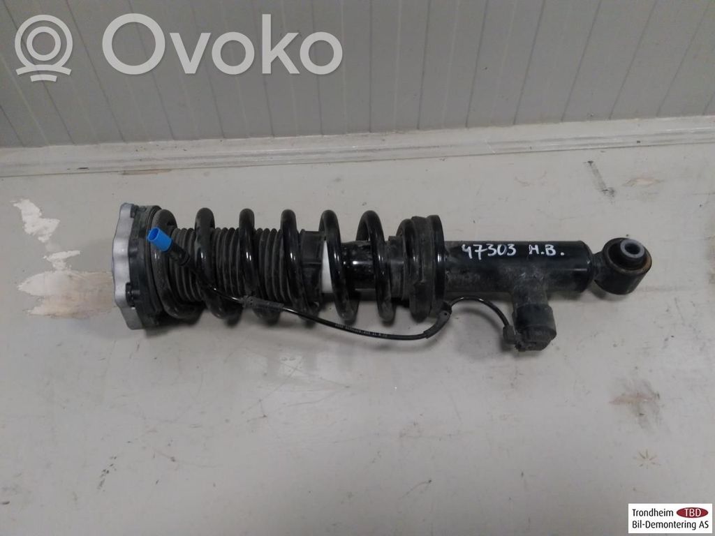 BMW iX3 Ansamblu amortizor cu arc spate 