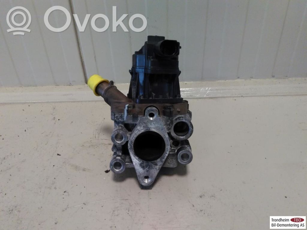 Fiat Ducato Válvula EGR 