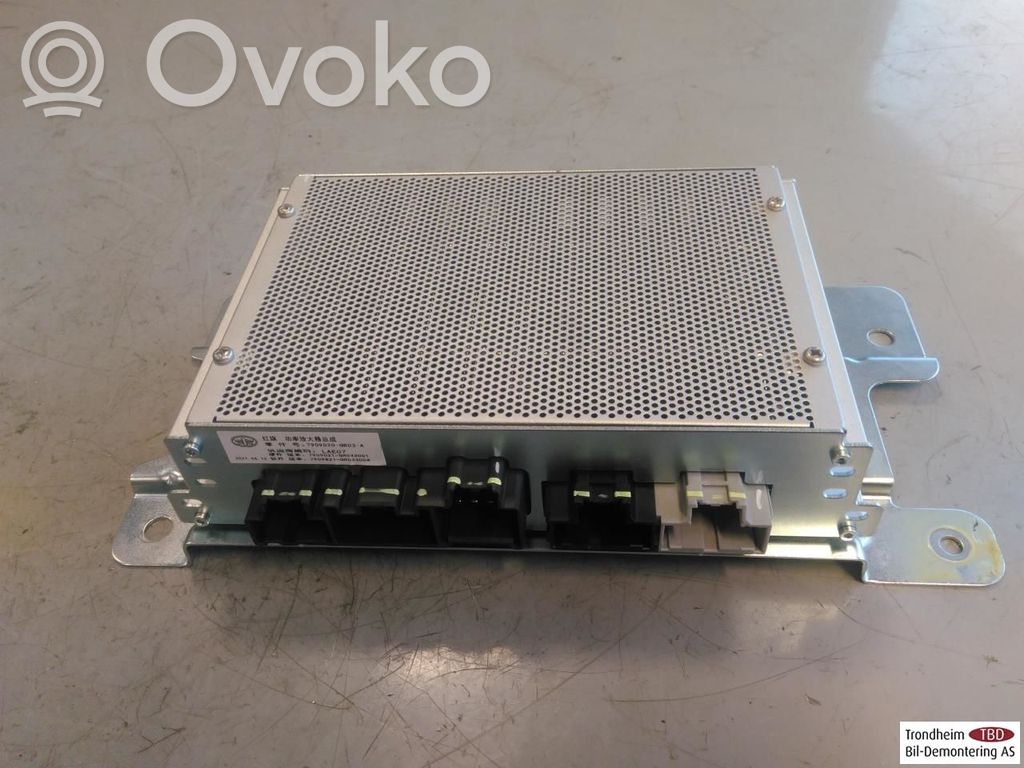 Hongqi E-HS9 Amplificatore 