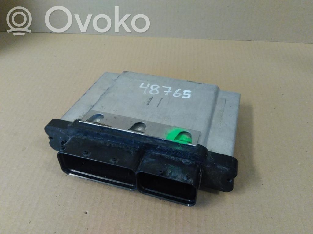 Skoda Fabia Mk3 (NJ) Unité de commande, module ECU de moteur 