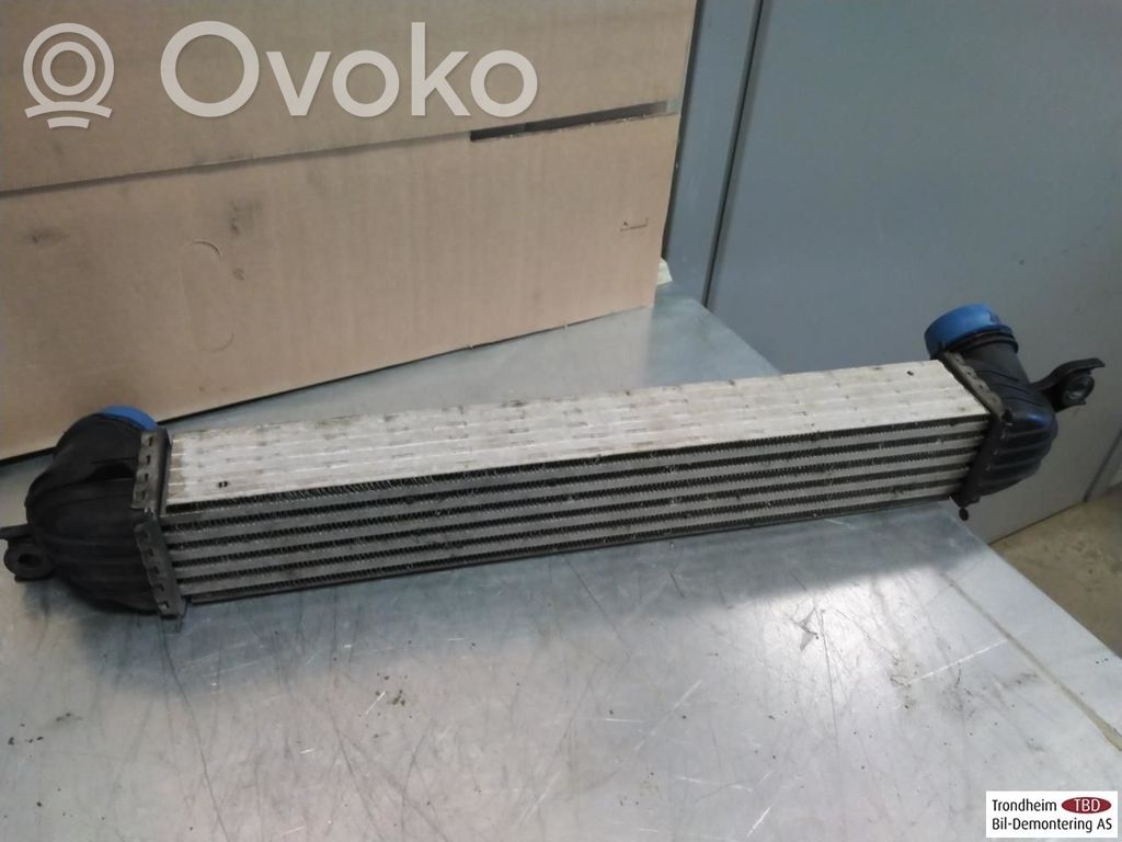 Mini Cooper Countryman R60 Radiatore intercooler 