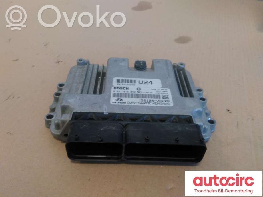 Engine control unit/module ECU   391252A206,0281018050,391202A206,0281018050,391202A206,391252A206