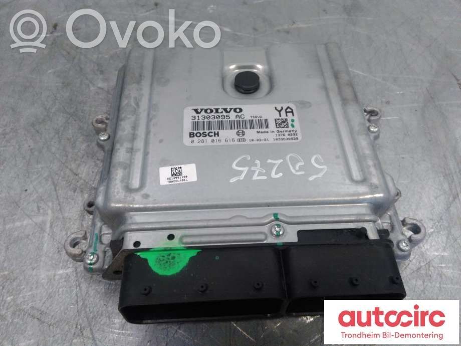 Engine control unit/module ECU   31303095,36001014,0281016616,0281016616,31303095,36001014