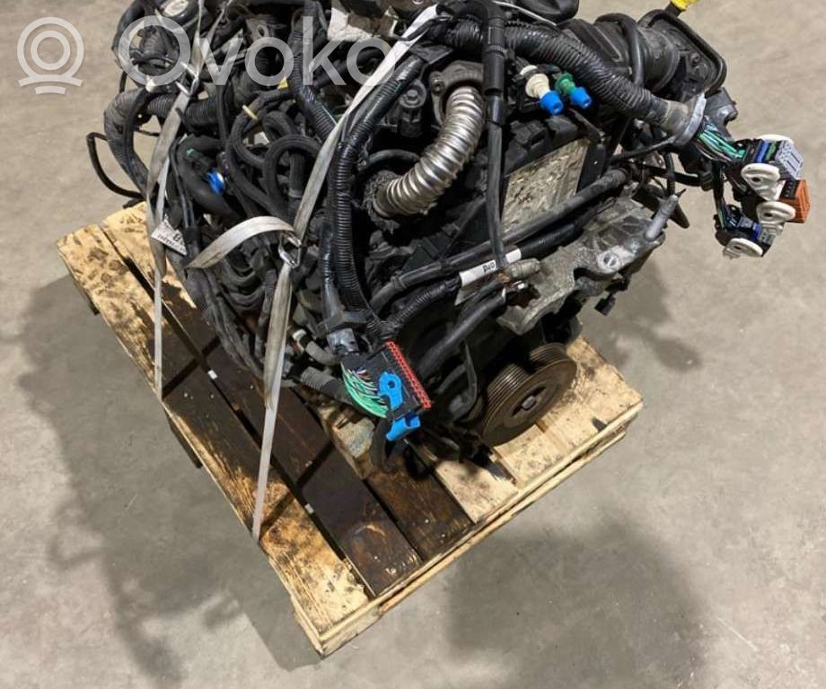 Ford Focus Engine 