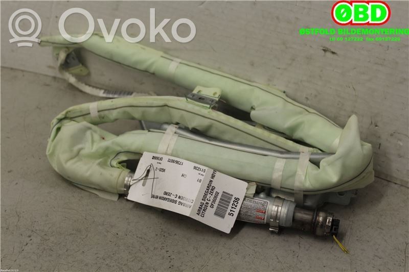 Citroen C-Zero Airbag del techo 