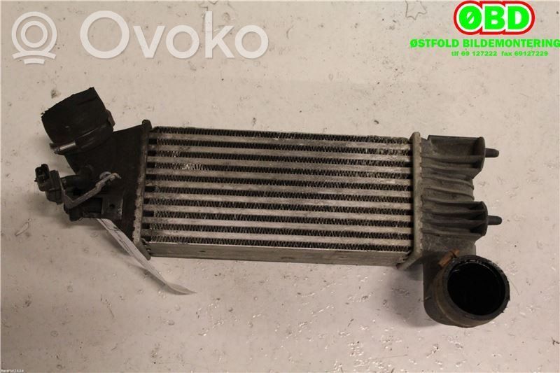 Land Rover Discovery Interkūlerio radiatorius 