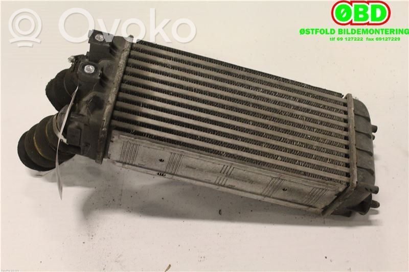 Radiador intercooler   0384N9,0384N9