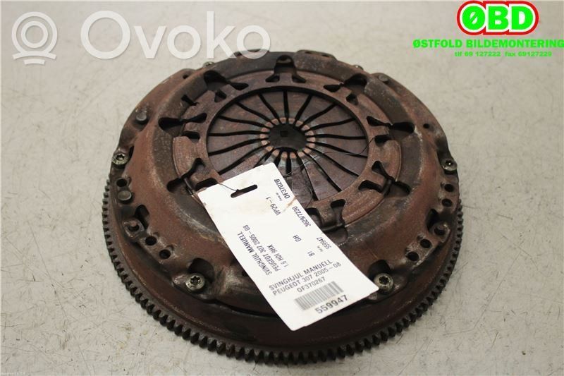 Peugeot 307 Flywheel 