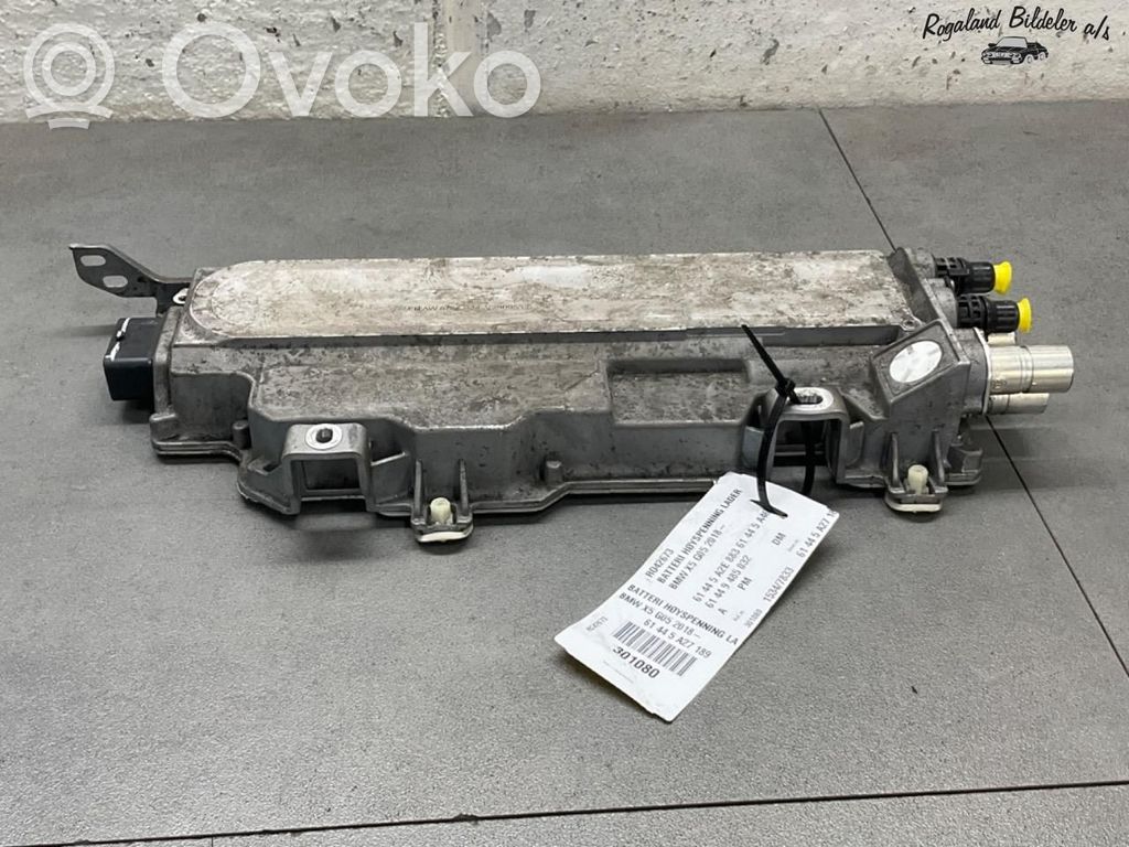 BMW X5 G05 Încărcător baterie (opțional)