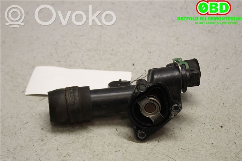 Renault Clio III EGR termostats 
