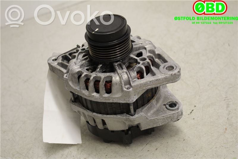 Hyundai i20 (PB PBT) Lichtmaschine