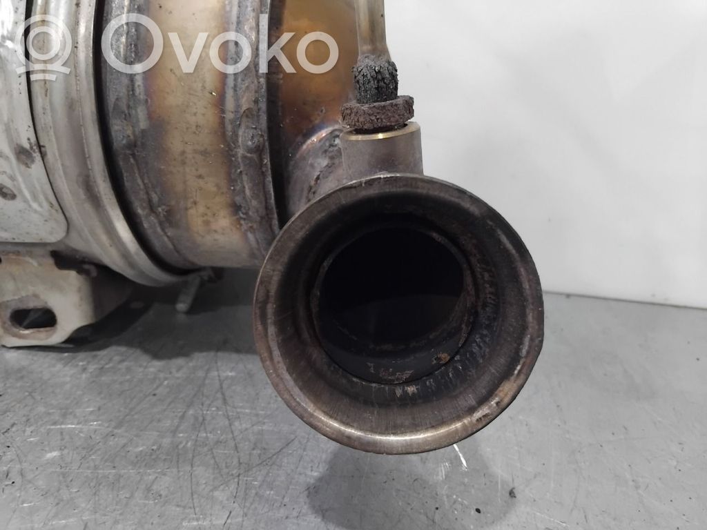 Citroen C4 II Filtru de particule catalizator/FAP/DPF 