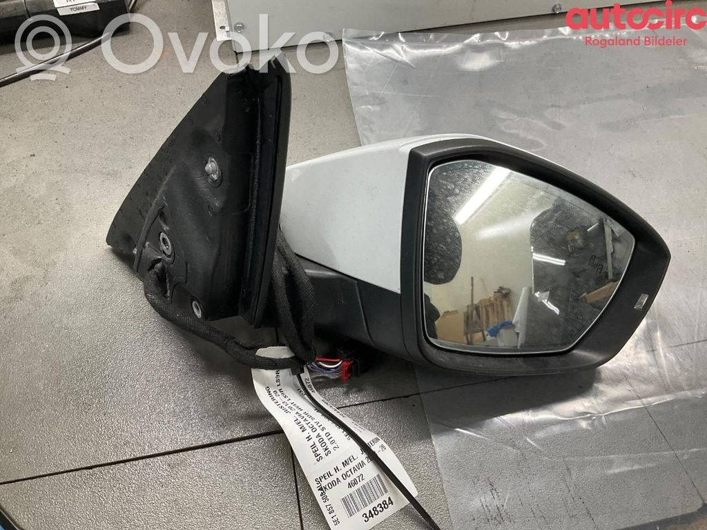 Skoda Octavia Mk3 (5E) Elektryczne lusterko boczne drzwi 