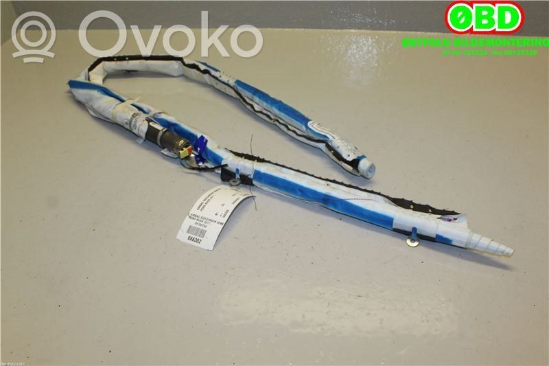 Ford Kuga II Airbag del techo 