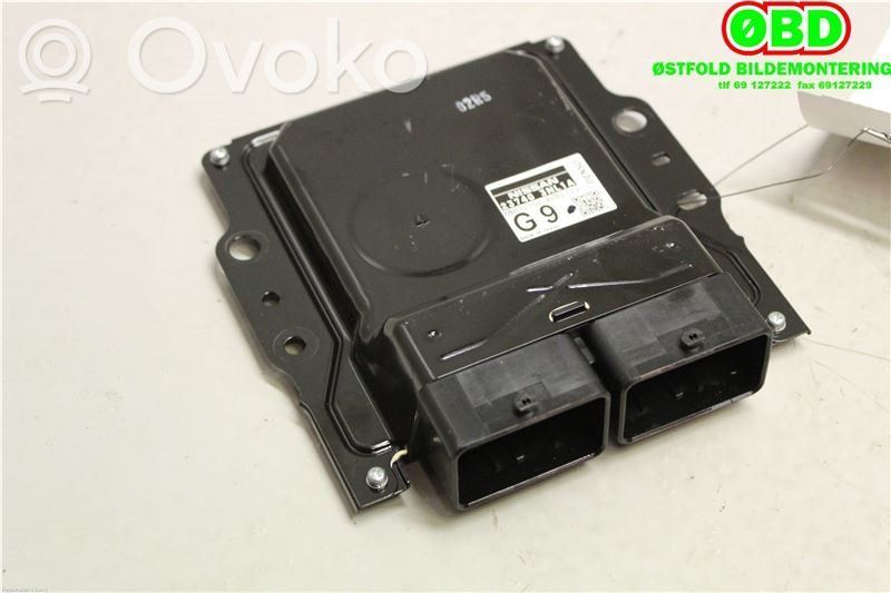 Nissan Leaf I (ZE0) Other control units/modules 