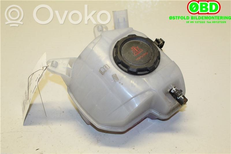 Volkswagen Polo VI Vaso di espansione carburante 