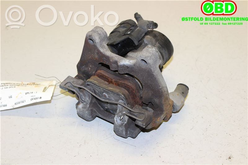 Takajarrusatula   3Q0615423,3Q0615423