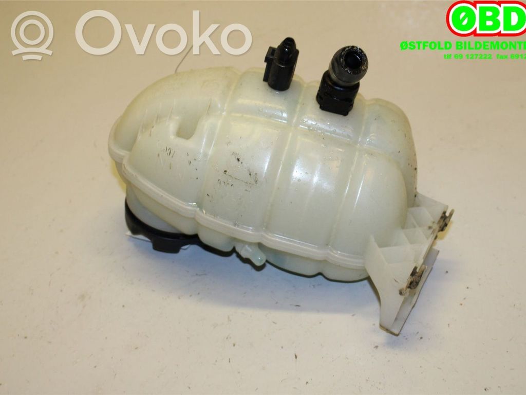 BMW 3 F30 F35 F31 Vaso di espansione carburante