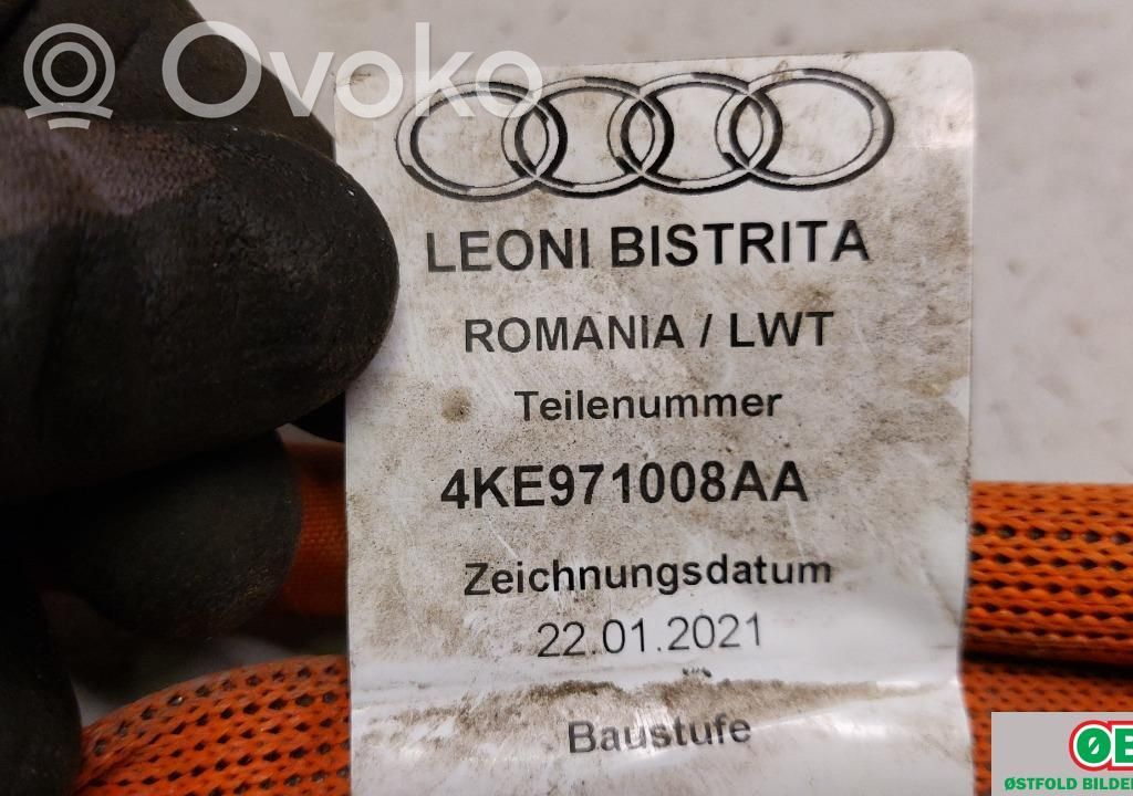 Audi e-tron Cavo ad alta tensione 