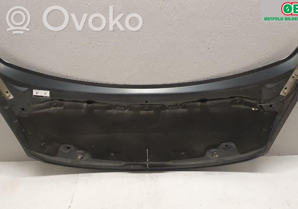 Peugeot 3008 I Motorhaube 