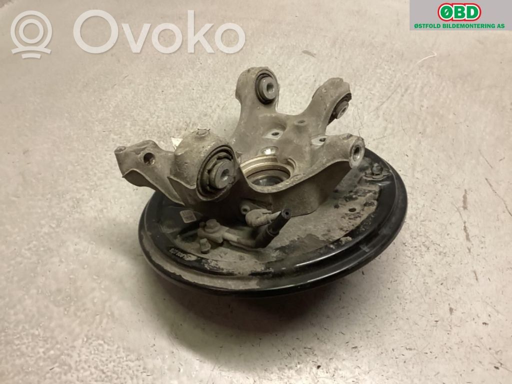 Achsschenkel hinten   1EA505434N,1EA505434N