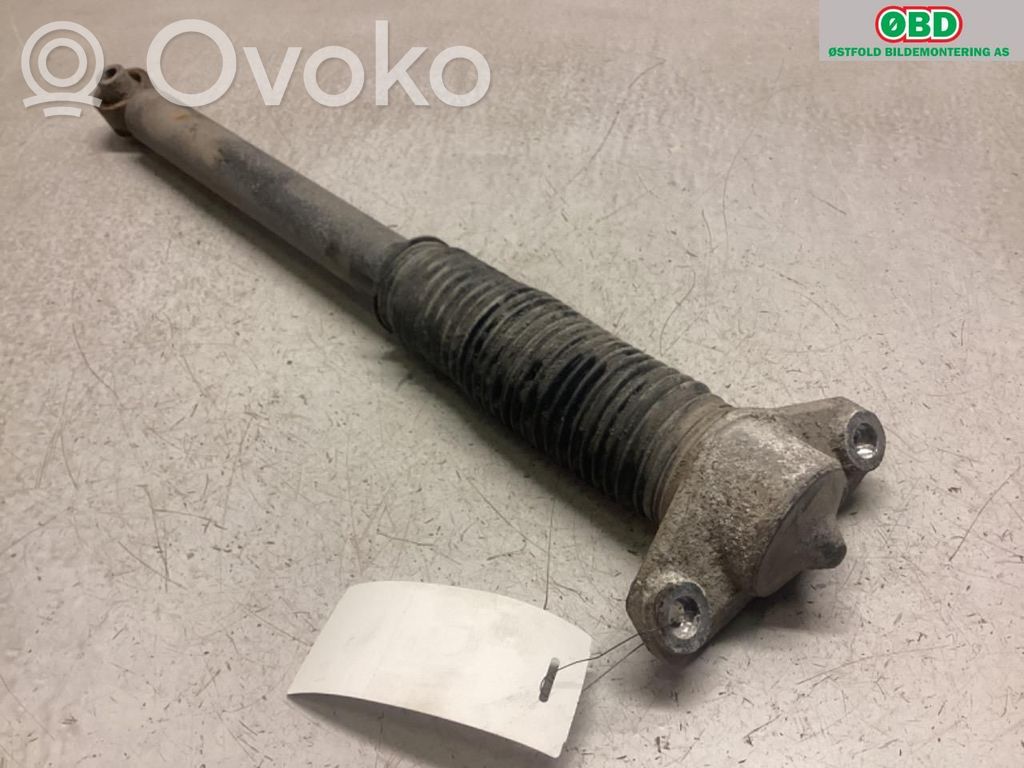 Hyundai Ioniq 5 Amortizor spate 
