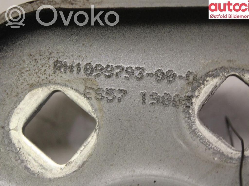 Tesla Model 3 Cerniere del vano motore/cofano 