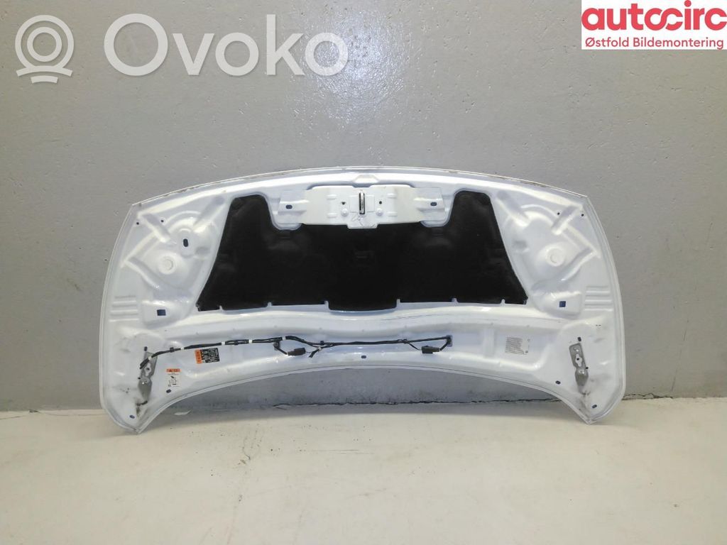 Ford Transit -  Tourneo Connect Dzinēja pārsegs (vāks) 