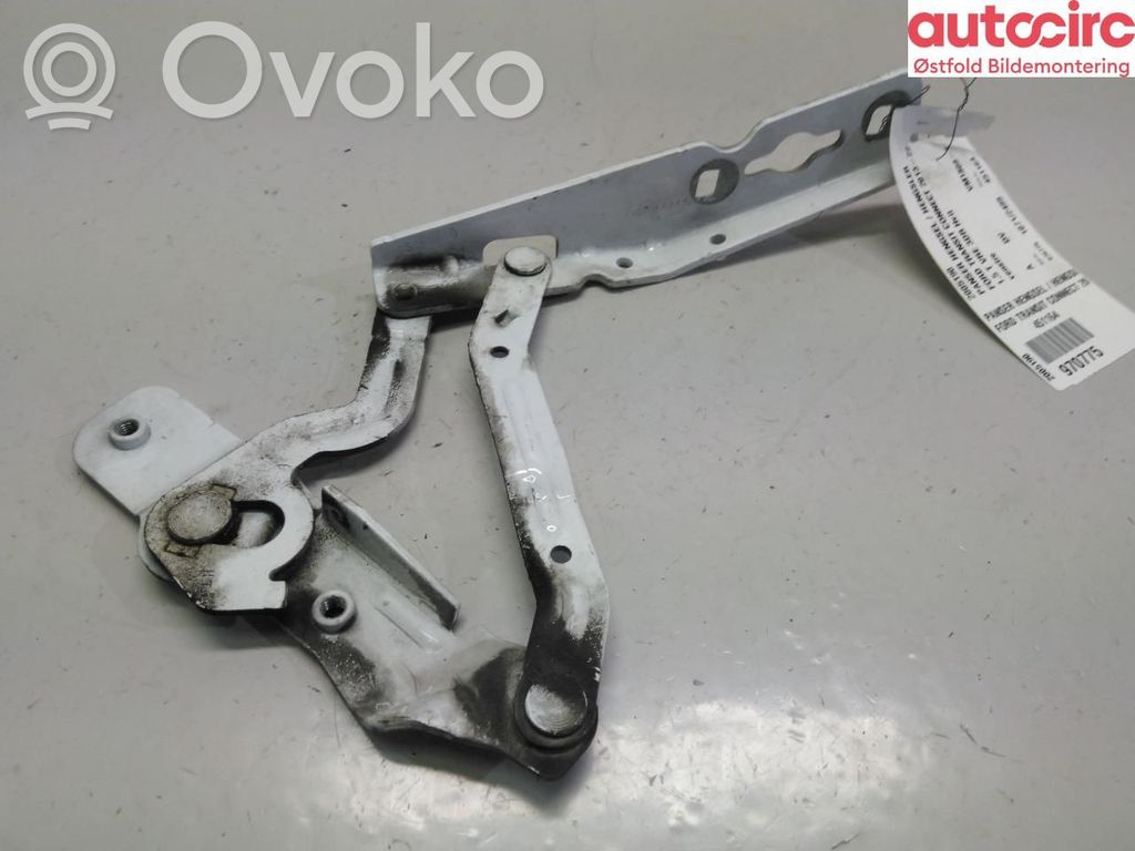 Ford Transit -  Tourneo Connect Cerniere del vano motore/cofano 
