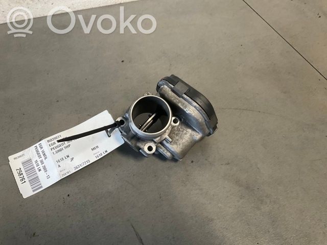 Peugeot 308 Valvola EGR