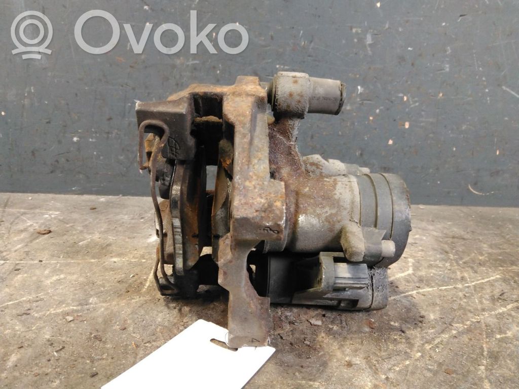 Takajarrusatula   8V0615424D,8V0615424D