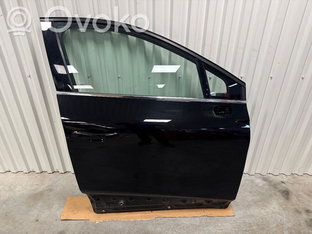 Drzwi przednie   801000210R,801000210R
