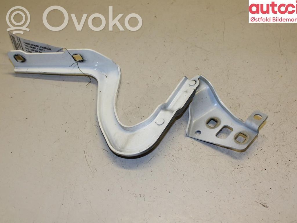 Tesla Model Y Cerniere del vano motore/cofano 