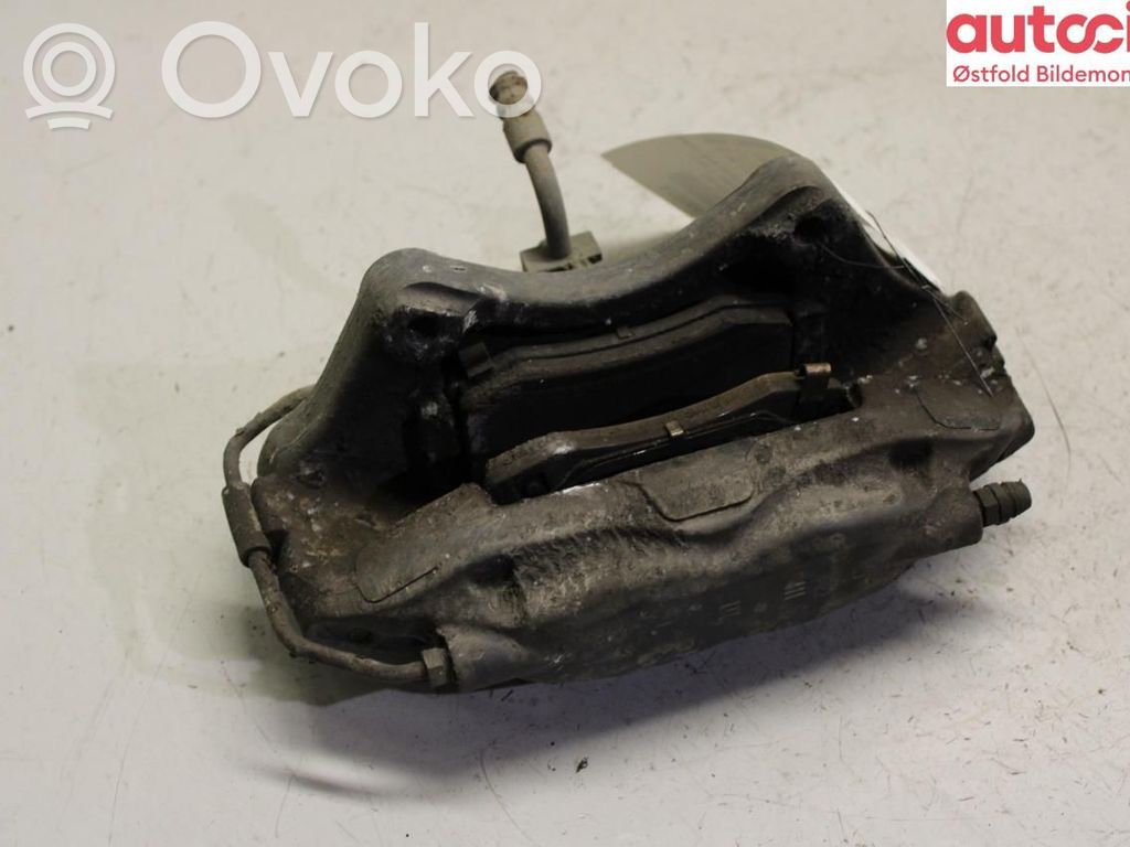 Takajarrusatula   104264100C,104264100C