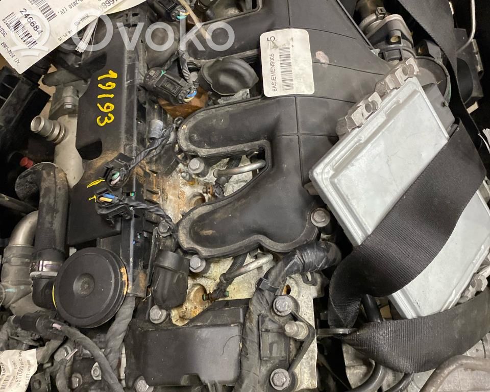 Variklis   1343078,3M5Q6006BB,6901552,7G9Q6007AA,D4204T,LPBA