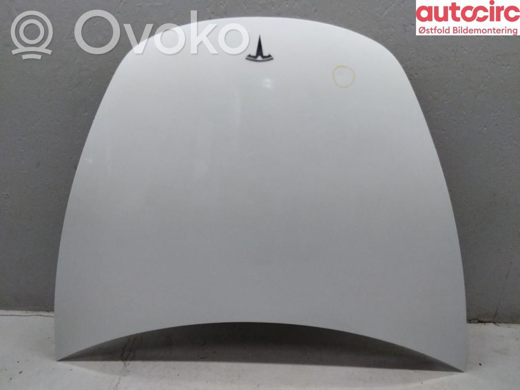 Tesla Model 3 Dzinēja pārsegs (vāks) 