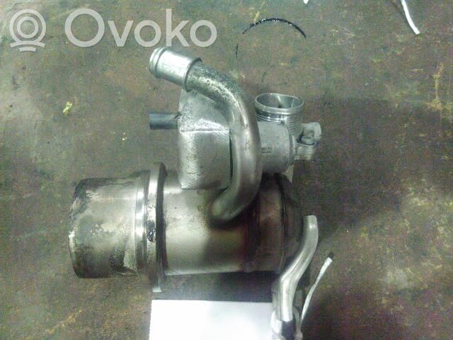 Volkswagen Tiguan Válvula EGR 