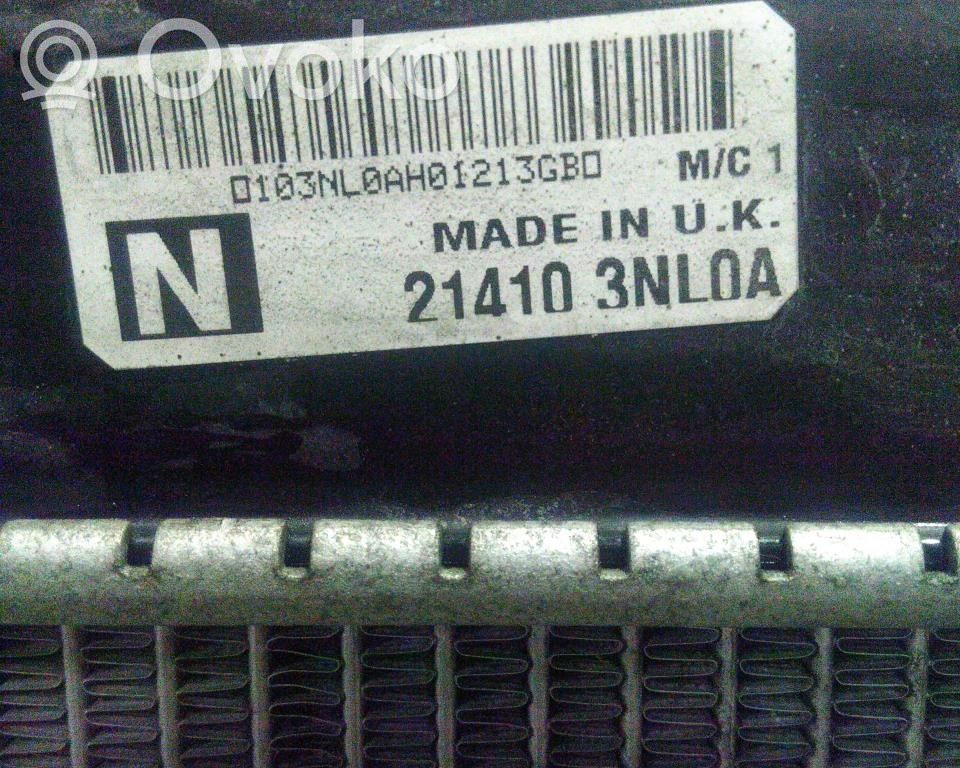 Nissan Leaf I (ZE0) Radiator lichid răcire 