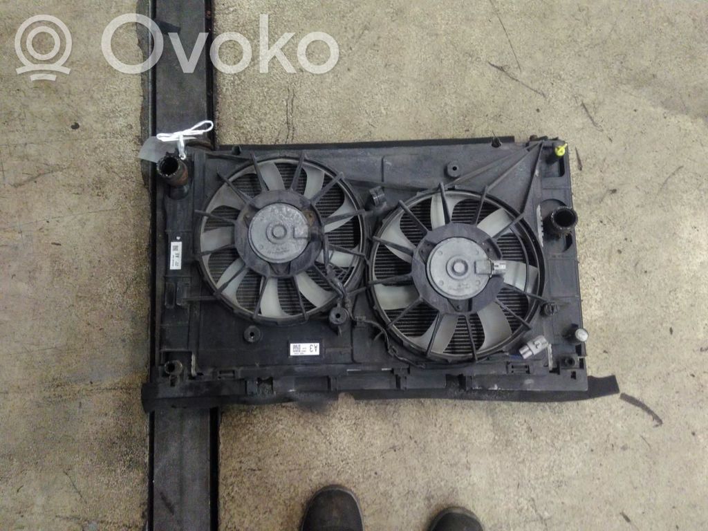 Toyota Auris E180 Set del radiatore