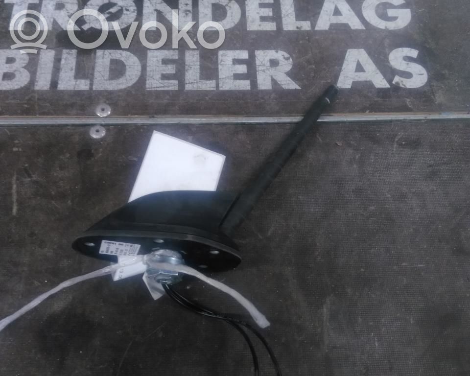Radion antenni