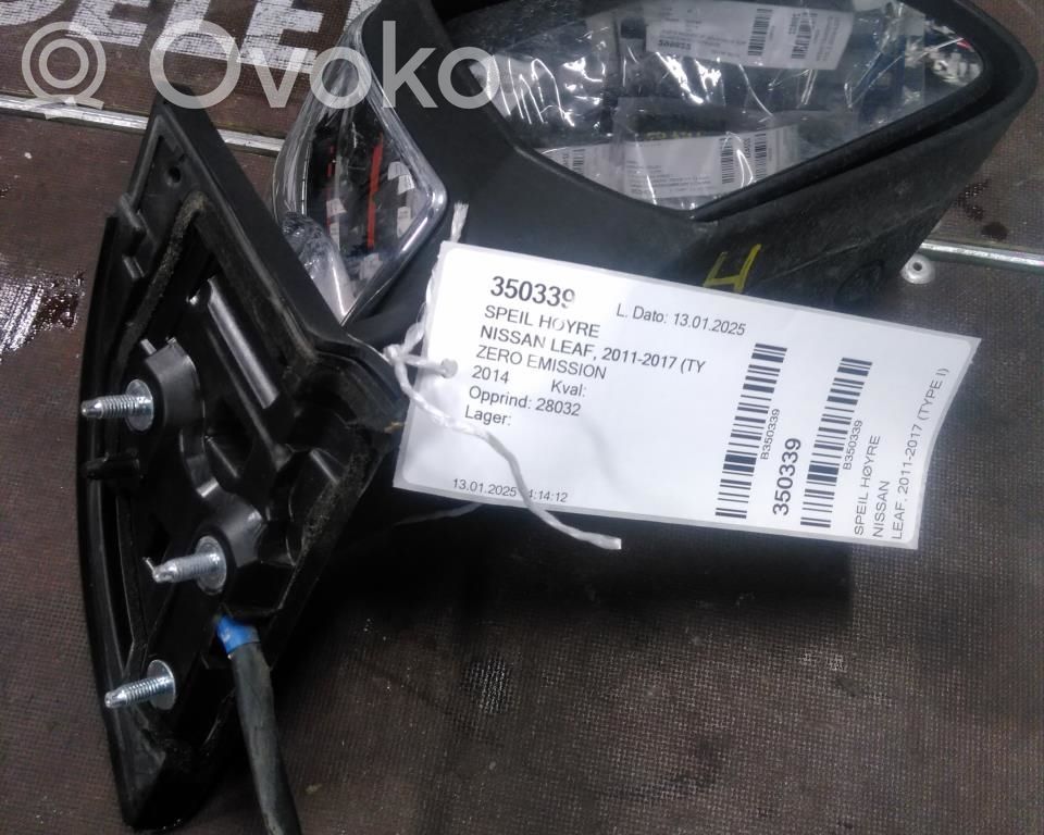 Nissan Leaf I (ZE0) Elektryczne lusterko boczne drzwi