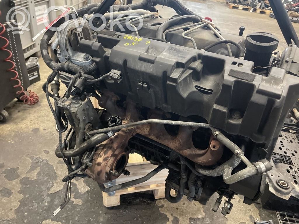 Engine   36050449,6901083,6901454,6901456,6901458,6901460,6901501,6901503,6901519,6901572,6901574,D5244T4