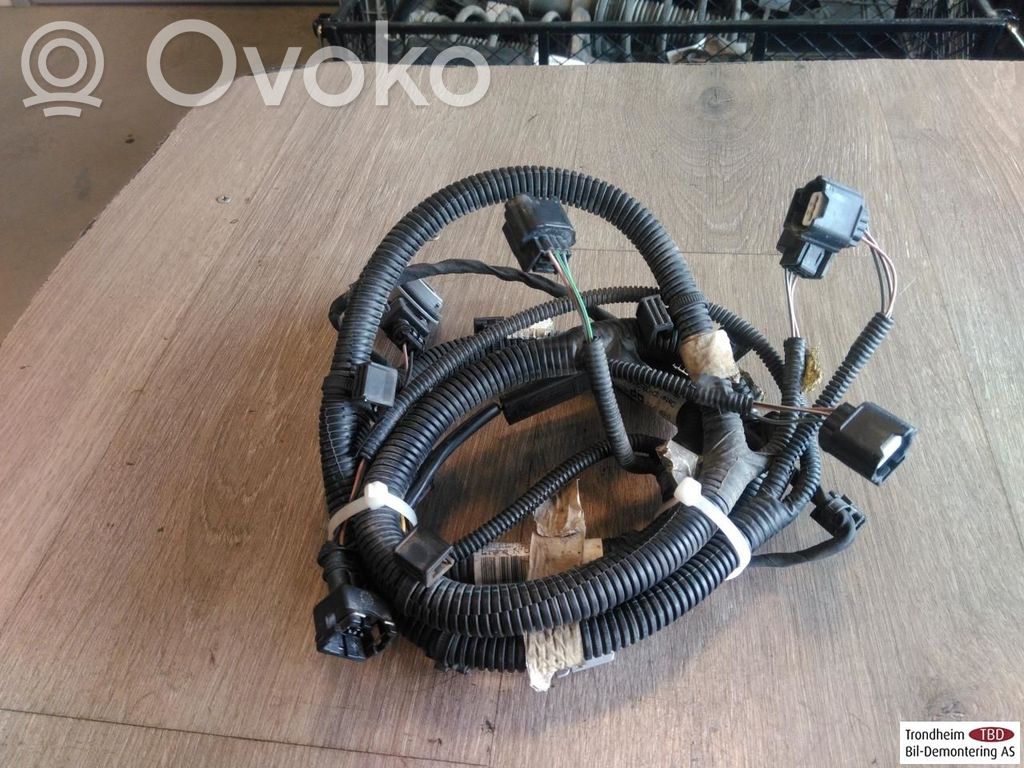 Renault Kadjar Mazo de cables 