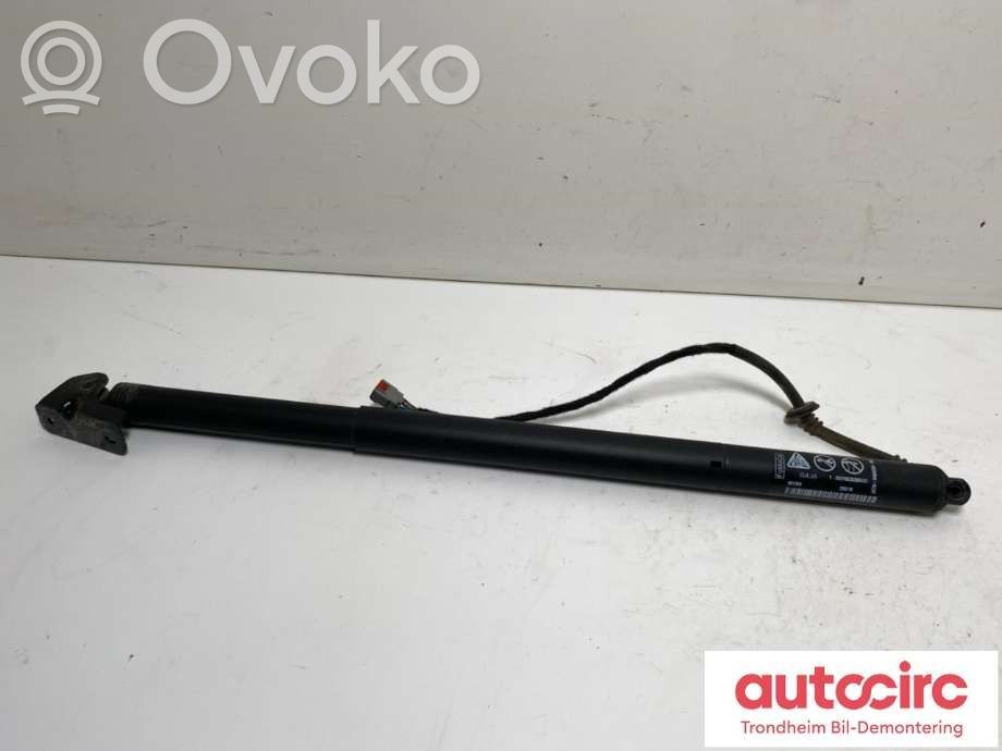 Ford Focus Tailgate/trunk strut/damper 