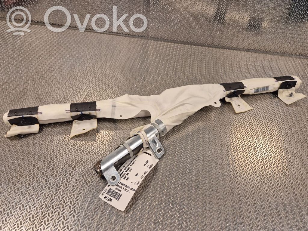 Tesla Model X Airbag del techo 